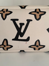 Louis Vuitton bag