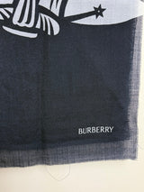 Burberry scarf