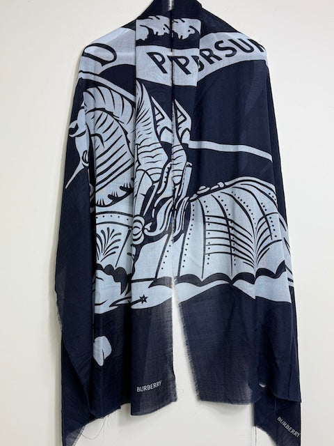 Burberry scarf