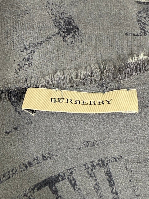 Burberry scarf